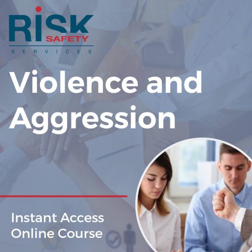 Violence and Aggression course